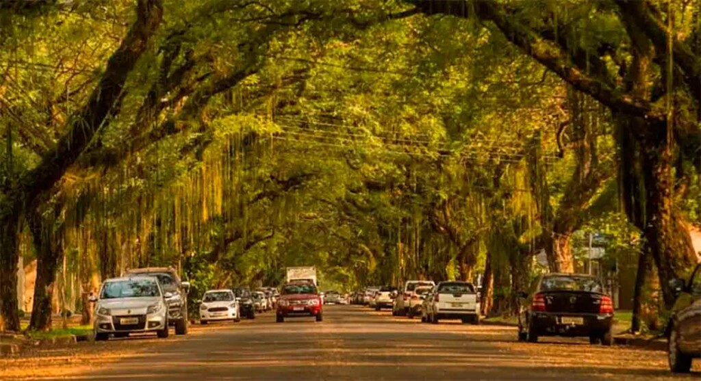 Conheça opções para ‘turistar de graça’ em Foz do Iguaçu