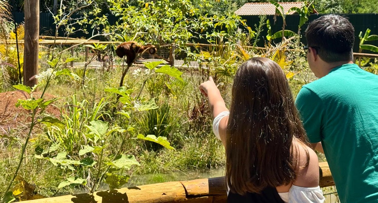Floresta dos Primatas será inaugurada neste sábado (11) no Eco Park Foz