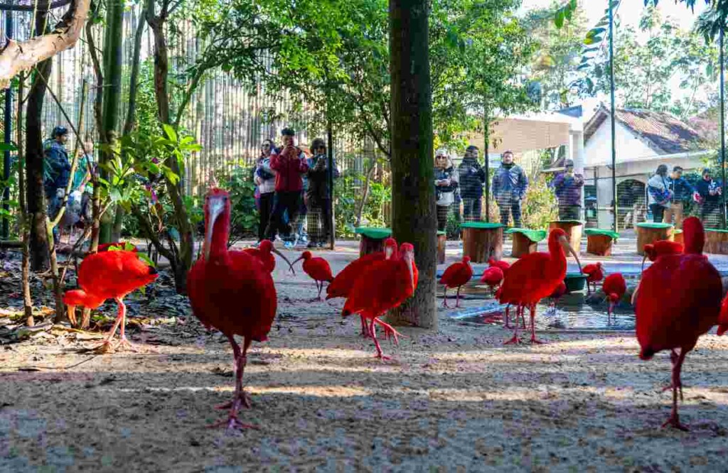 Turismo cresce mais que o dobro no Paraná ante média do país