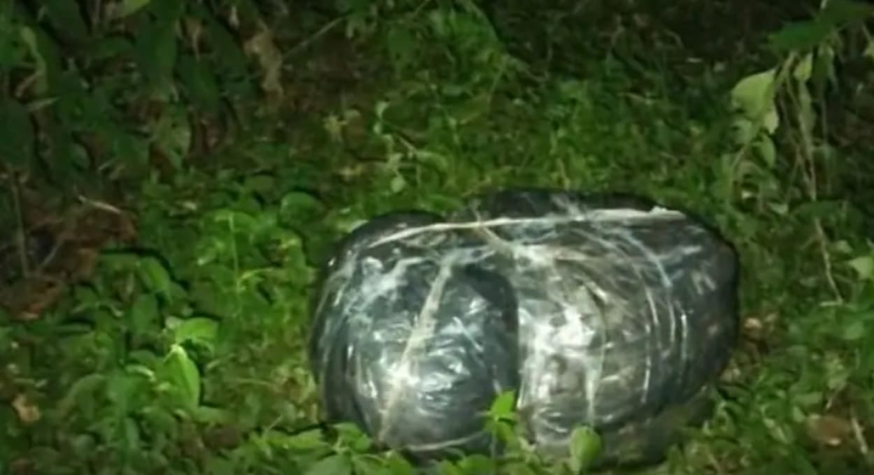 Fardos com 17,8 quilos de capulho são localizados às margens do Rio Paraná