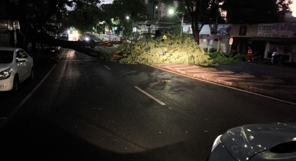 Temporal da Quarta-Feira de Cinzas provoca estragos em Foz do Iguaçu