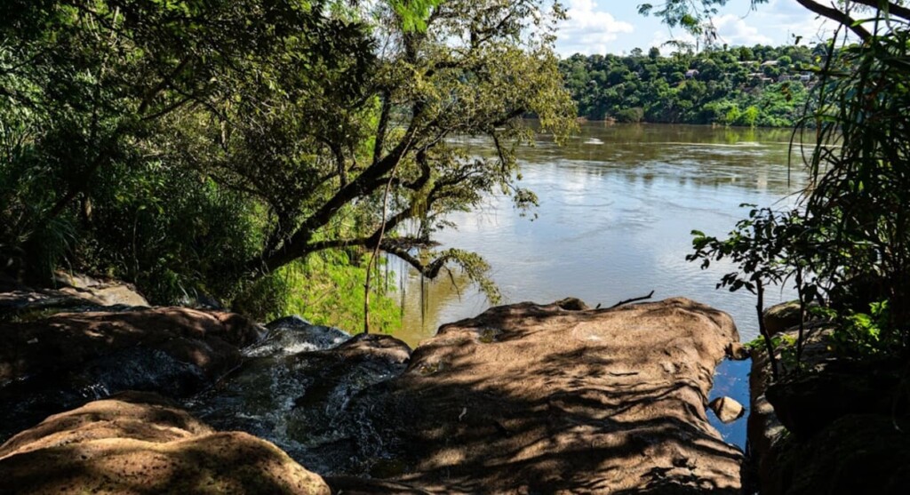 Itaipu e Parquetec promovem celebração para a comunidade em Foz do Iguaçu