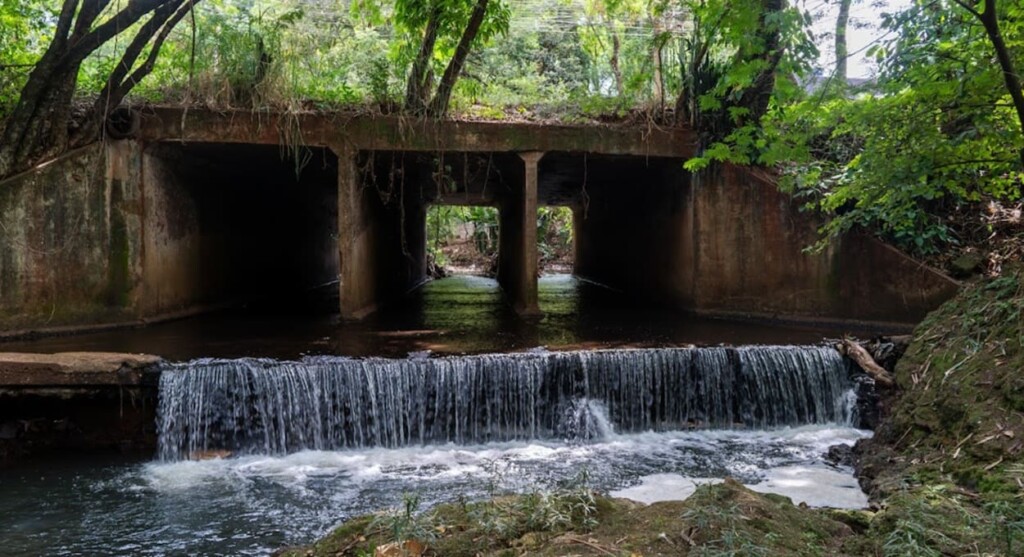 The largest urban river in Foz do Iguaçu, Boicy, suffers from pollution
