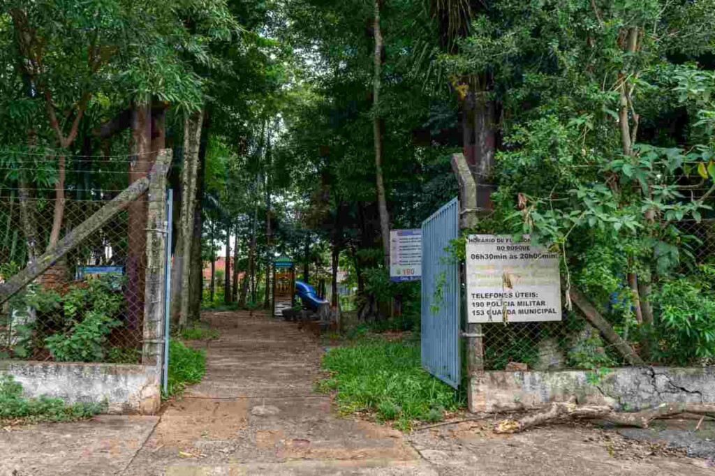 Bosque do Libra: moradores pedem limpeza e zelo contínuo