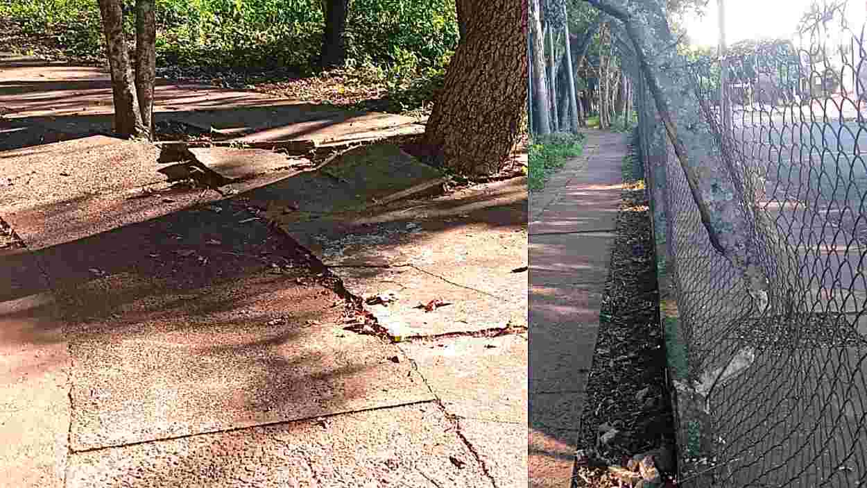 Prefeitura limpou, mas Bosque do Libra precisa de atenção na estrutura