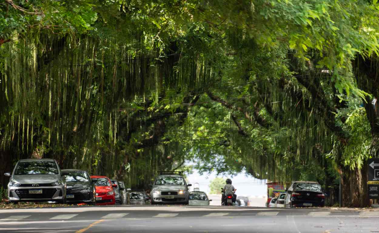 Avenida Pedro Basso é tombada como Patrimônio Cultural de Foz