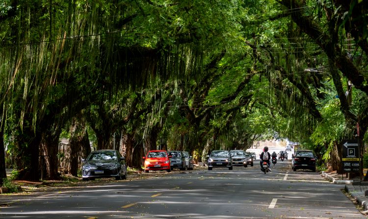 Avenida Pedro Basso