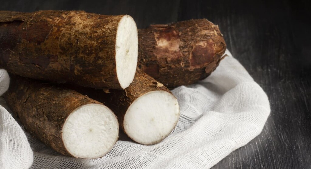 Mandioca: agricultores do Paraguai denunciam contrabando do Brasil