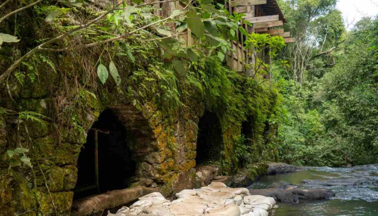 Revitalização usina São João.