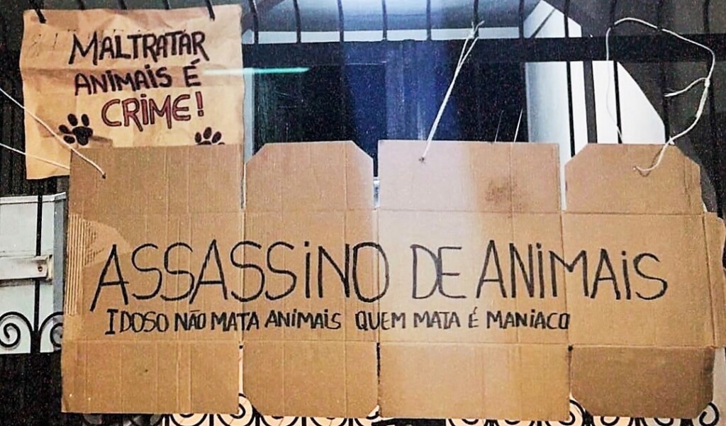 E agora José? Fama de matador de animais o obriga a sair de Foz