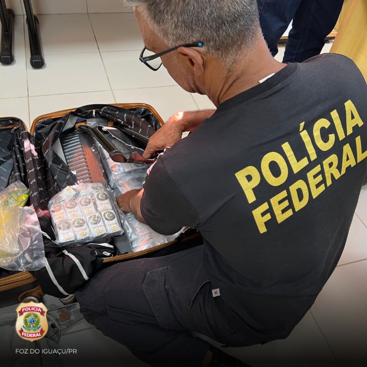 cães farejam droga