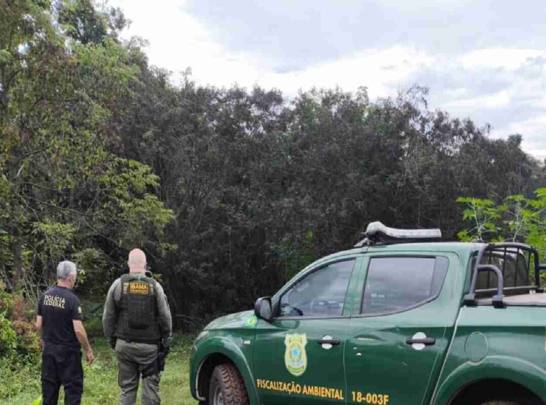 fiscalização parque nacional