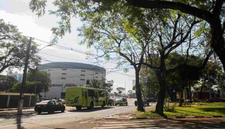 Foz do Iguaçu oferta mais de 500 empregos com carteira assinada
