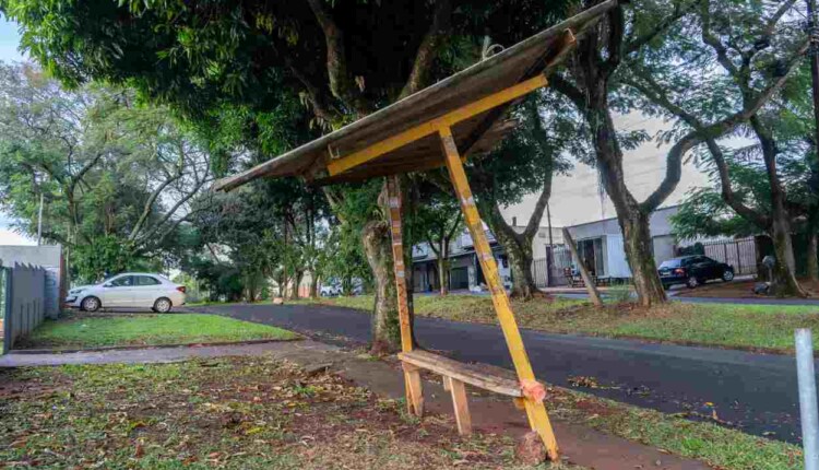 Dá para esperar o ônibus em ponto assim em Foz do Iguaçu