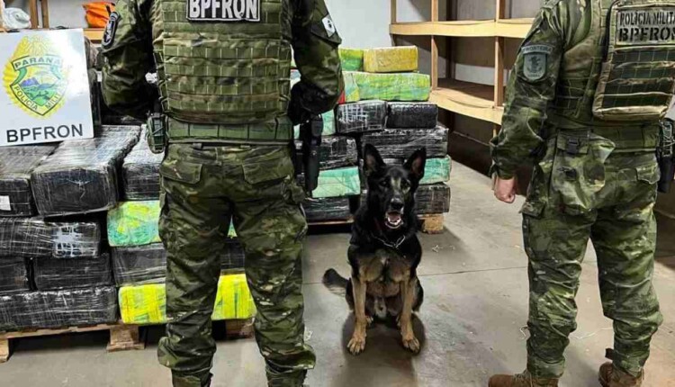 Polícia de Fronteira captura 3 toneladas de droga