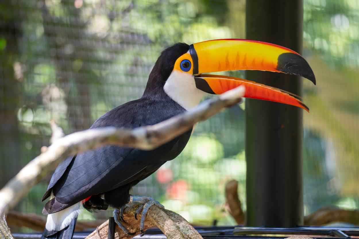 Turismo internacional no Paraná cresce 18% no primeiro trimestre