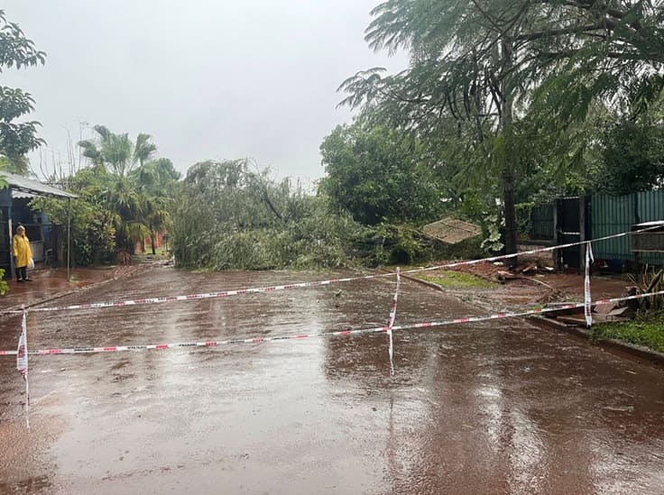 Temporal derrubou árvores em vários bairros de Puerto Iguazú.