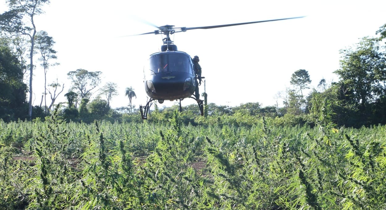 Plantações de maconha ficam em áreas de difícil acesso no Paraguai.