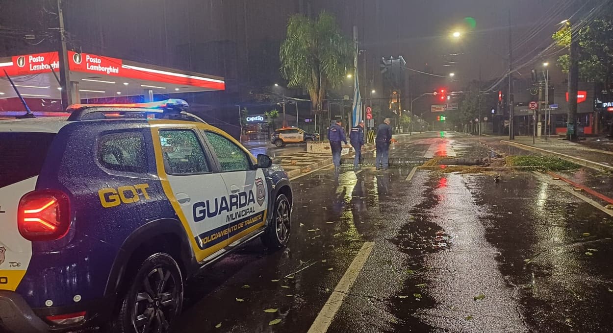 Queda de árvore na Avenida Jorge Schimmelpfeng, área central de Foz do Iguaçu.