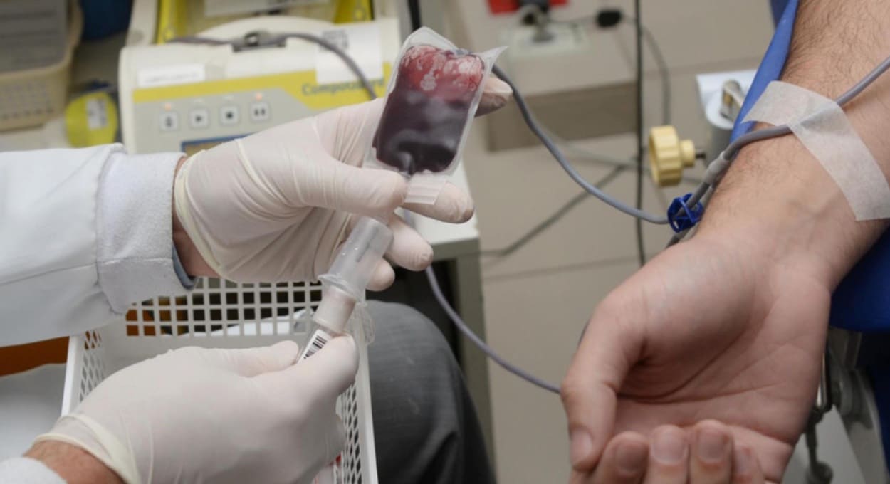 Assembleia Legislativa incentiva ações do Junho Vermelho no Paraná