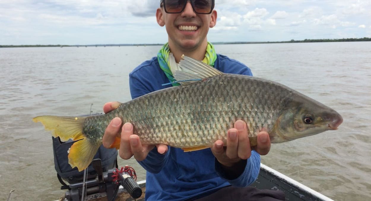 Monitoramento de peixes atesta qualidade ambiental do lago de Itaipu