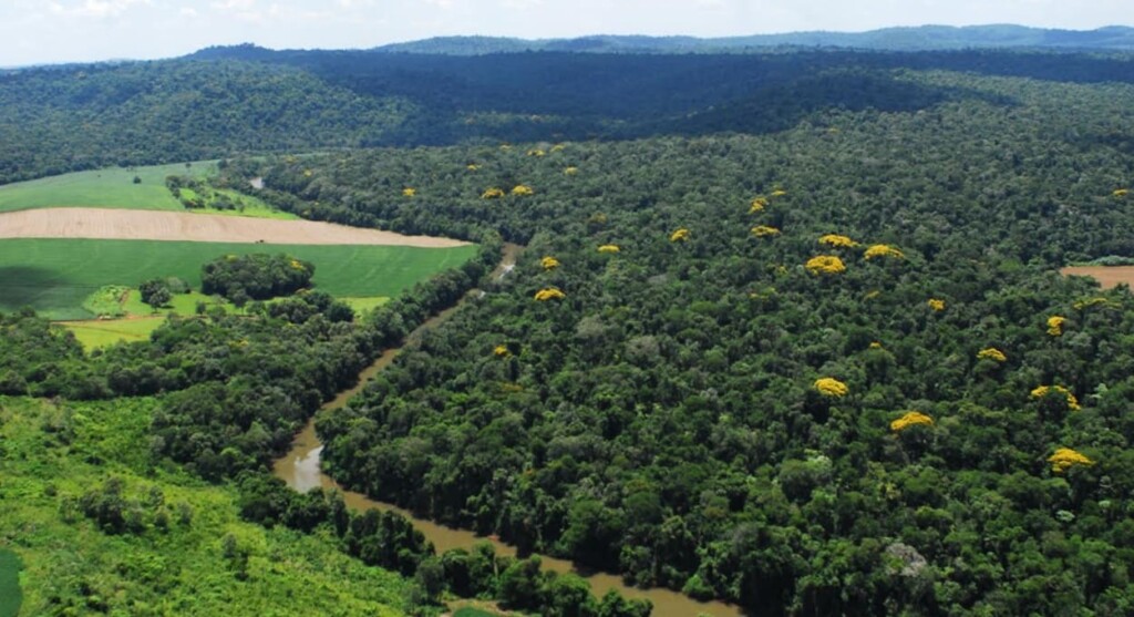 Adetur apresenta projetos de fortalecimento do entorno do parque