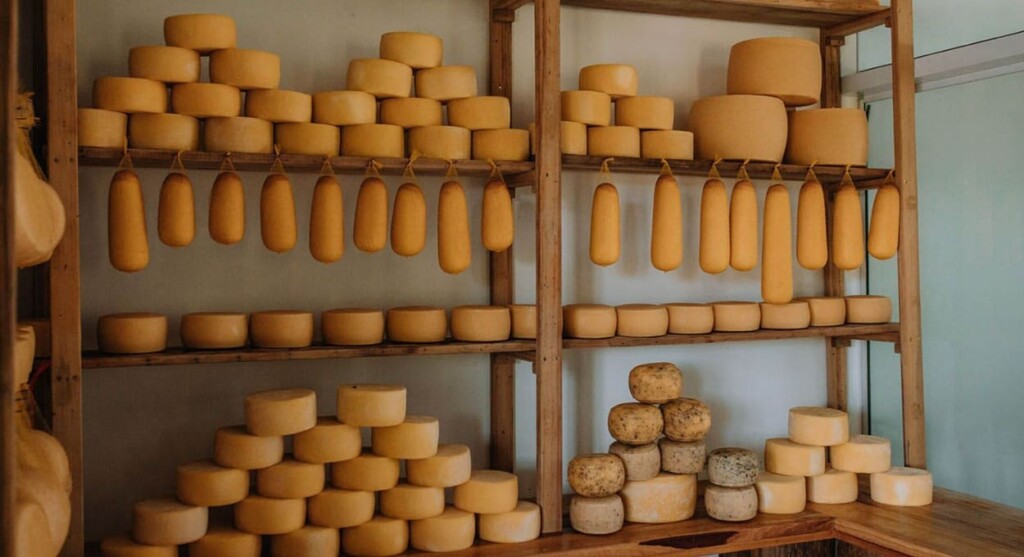 Deputada quer incluir queijo colonial na cesta básica estadual do Paraná