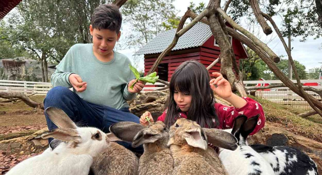 Eco Park Foz vai promover colônia de férias em julho; saiba como participar