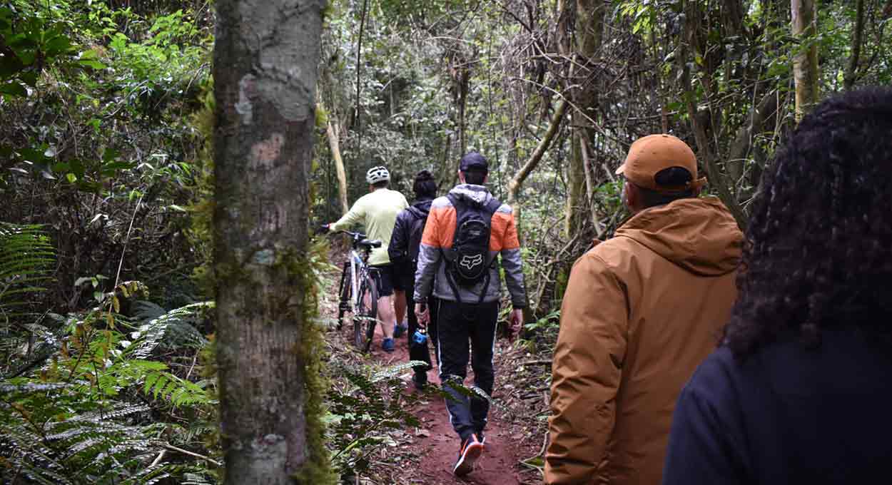 Semana do Meio Ambiente - Parque Nacional do Iguaçu