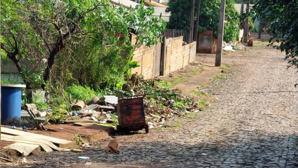 Como lidar com lixo, cadáveres de animais e queima de objetos pertinho de casa?