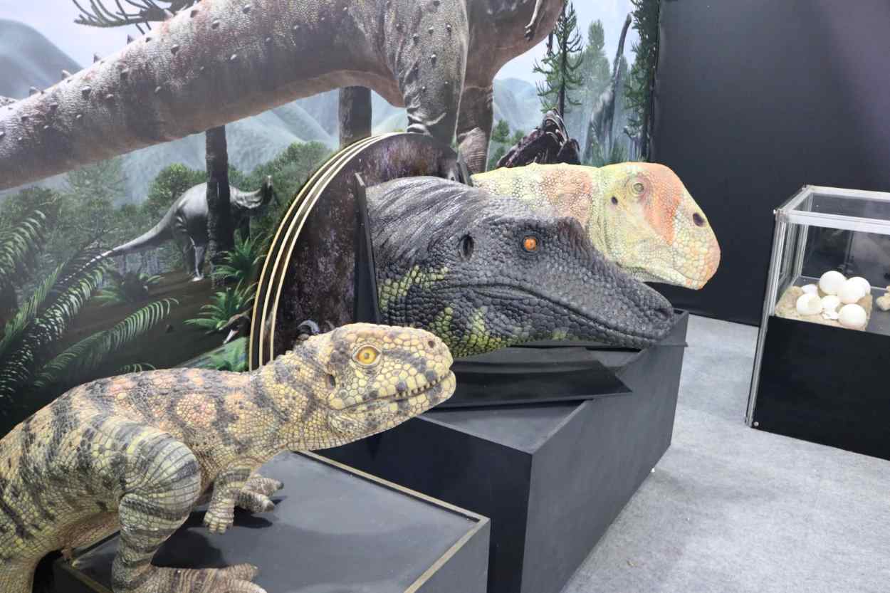 expo dino