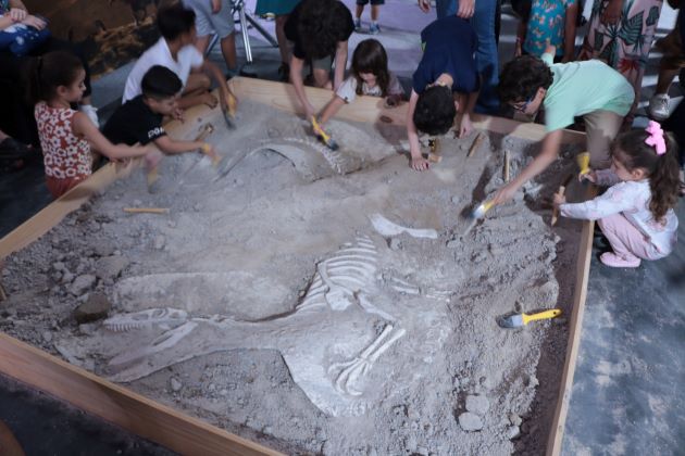 exposição dinossauros