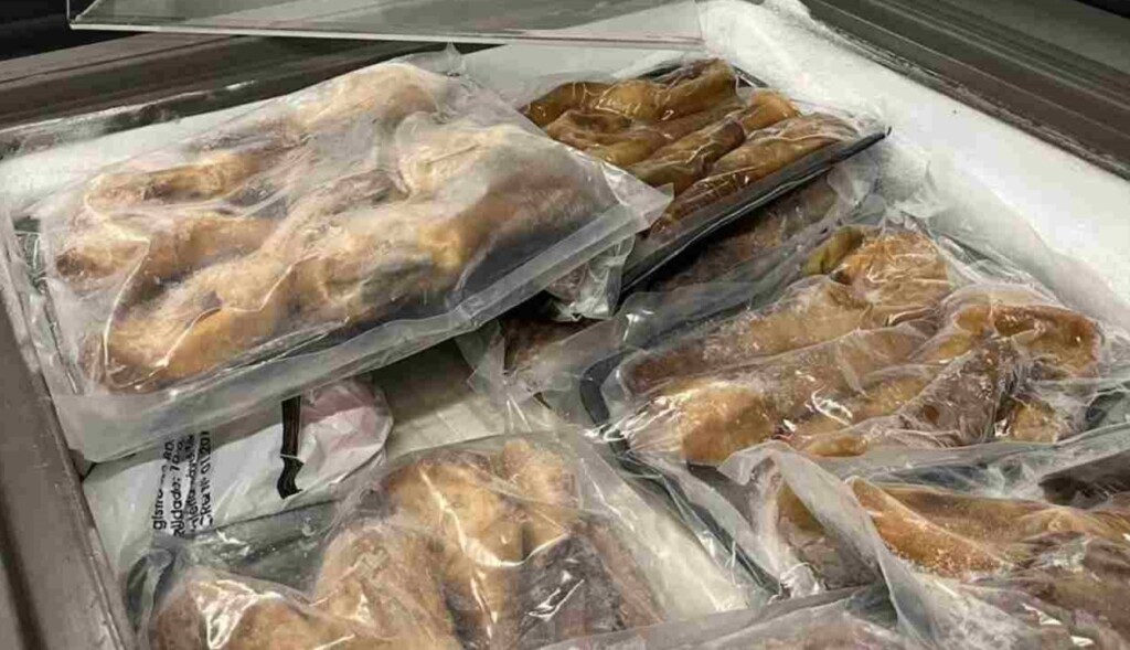 Carga de moluscos exóticos avaliada em R$ 125 mil é apreendida no Aeroporto de Foz
