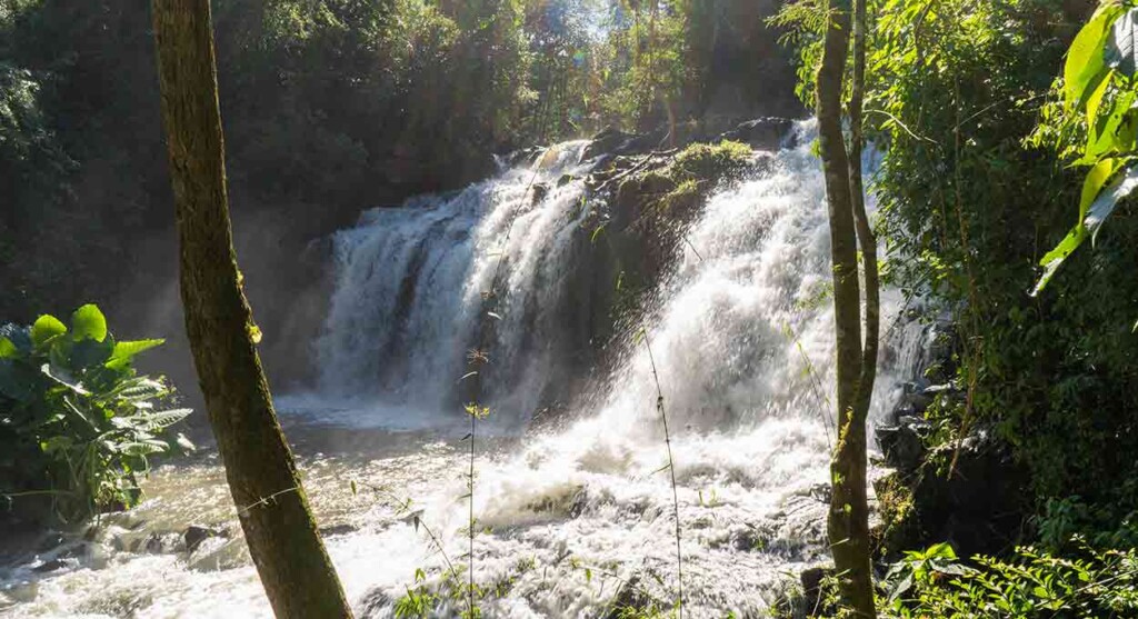 Banho de rio e cachoeira: Parque Nacional do Iguaçu inaugura circuito (veja vídeo)