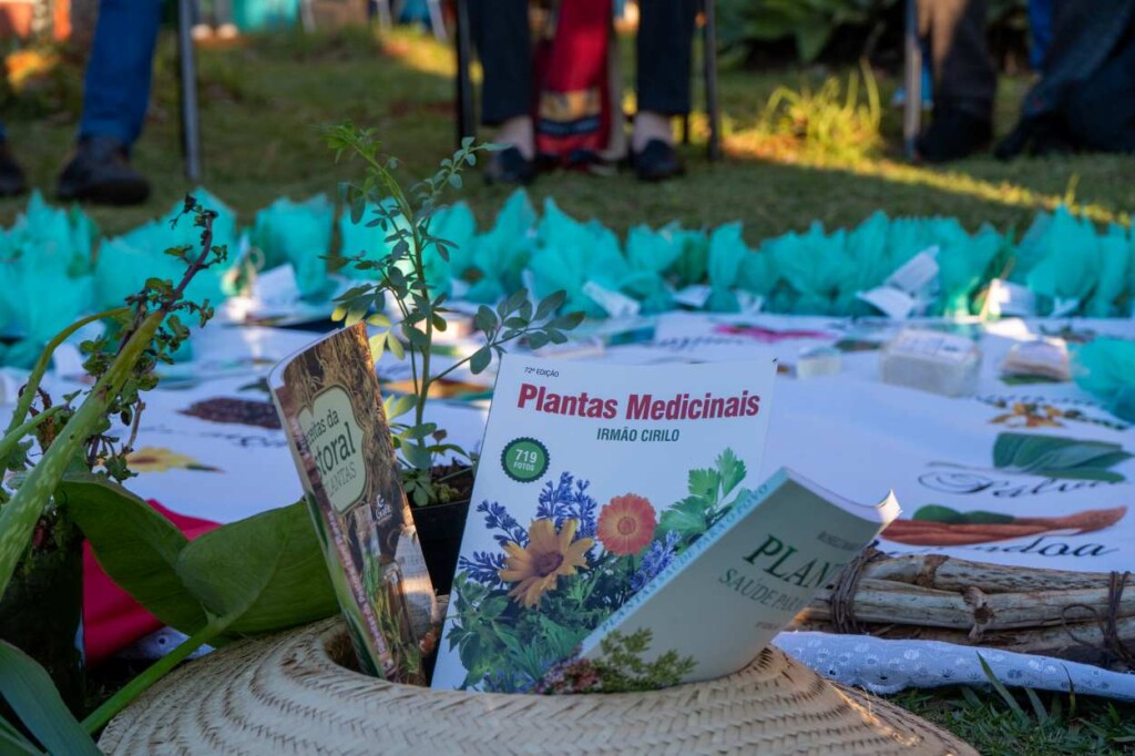 Plantas medicinais complementam práticas de saúde em UBSs do Paraná