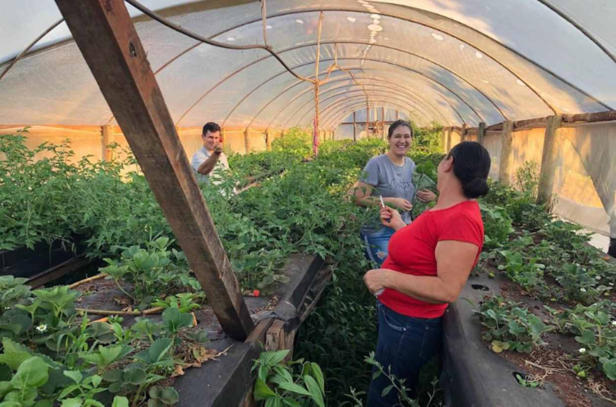 Agroecologia é mais rentável para agricultura familiar, indica pesquisa da UTFPR