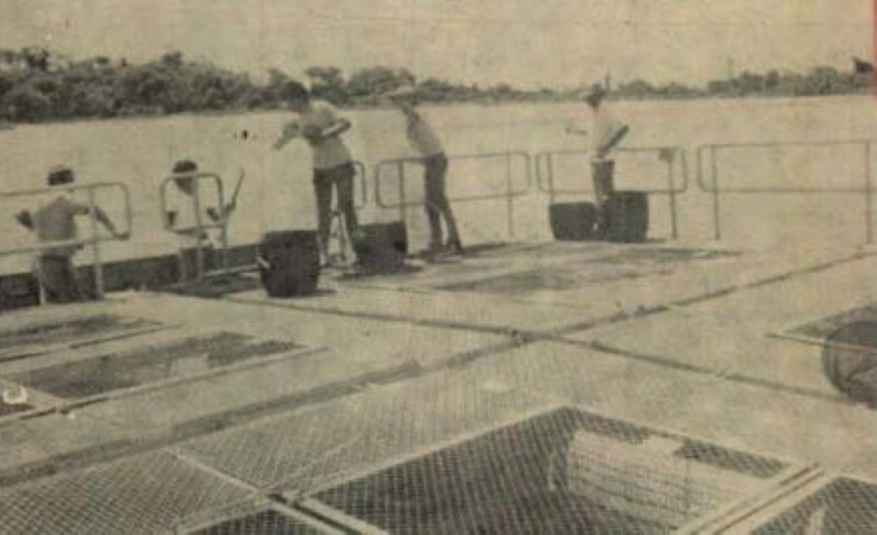 Quando a Itaipu apostou na criação de dourado no lago em 1989
