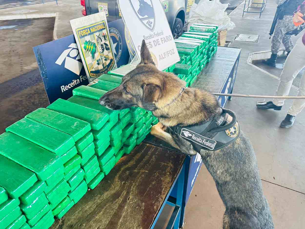 Paraguaio é interceptado com 227kg de maconha em 5 compartimentos falsos de van