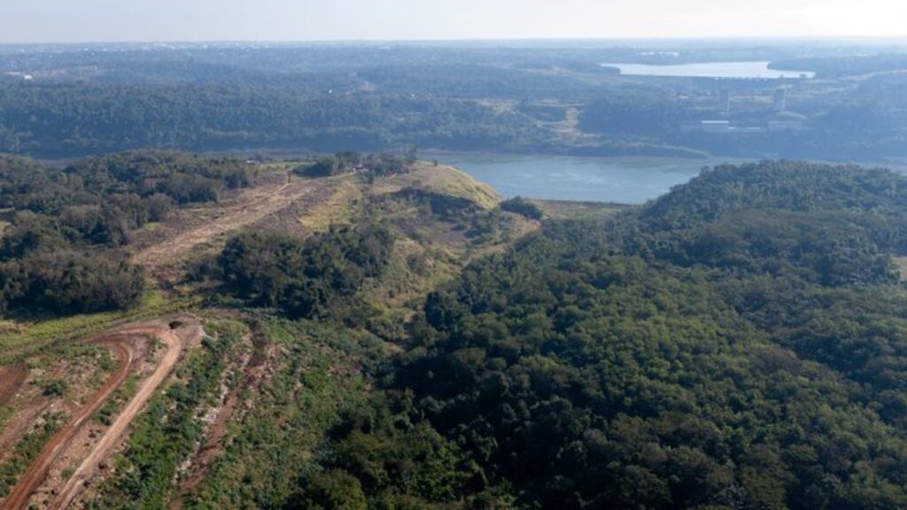 Cemitério fica a cerca de 200 metros do Rio Paraná.