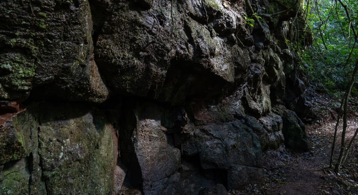 Circuito São João revela maravilhas do Parque Nacional do Iguaçu