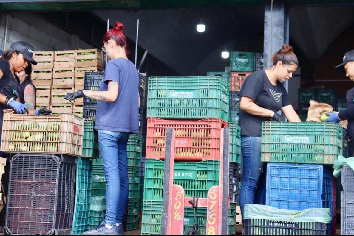 Além da polarização: o tarifaço e o futuro do produtor rural brasileiro