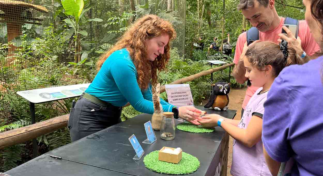 Parque das Aves promove atividade especial em alusão às corujas