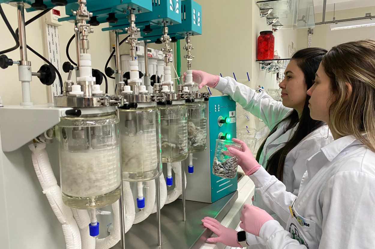 Pesquisadores da Unioeste estudam produção de colágeno a partir das escamas de tilápia
