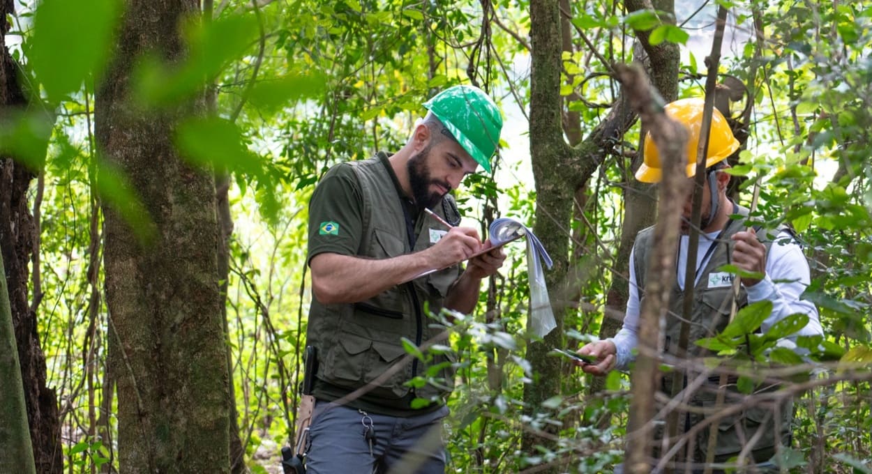 Itaipu triplica diversidade vegetal da faixa de proteção do reservatório