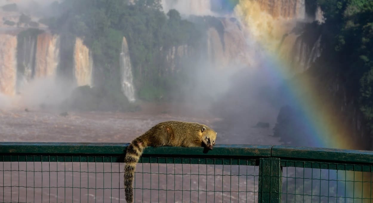 Saiba onde celebrar o Dia Mundial do Turismo em Foz do Iguaçu