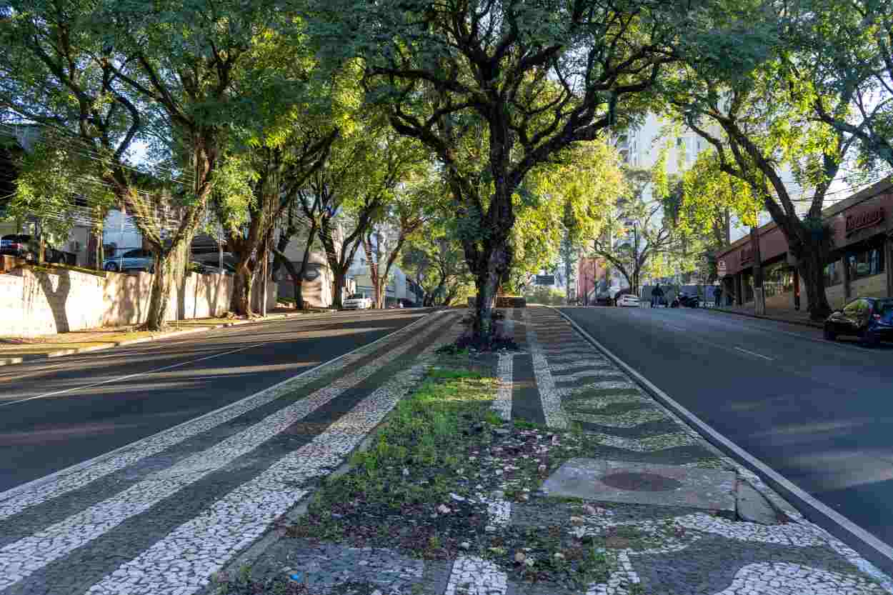 Avenida JK: prefeitura anuncia serviços no canteiro central