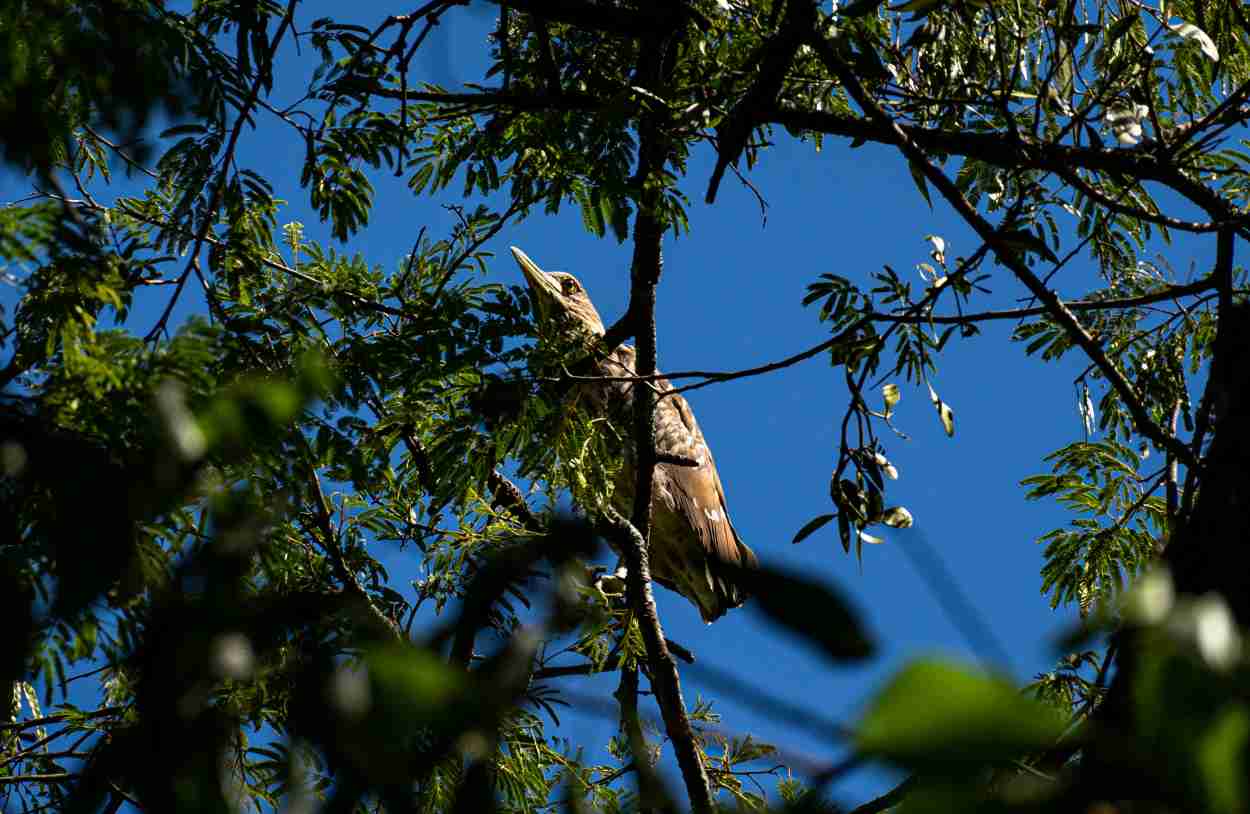 Bolsa de R$ 3 mil: residência em área ambiental abre 383 vagas
