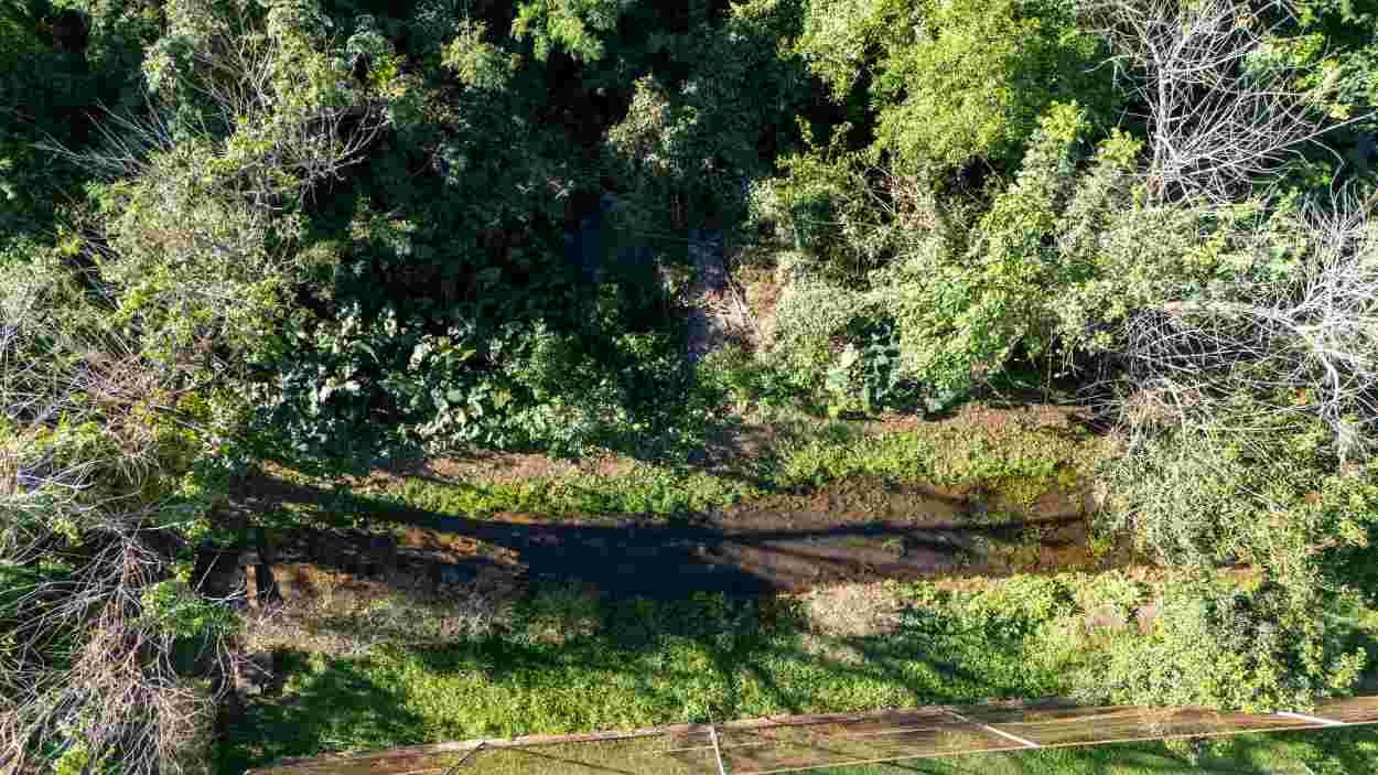 Comunidade pede proteção de rio e criação de parque ambiental no Jardim Iguaçu