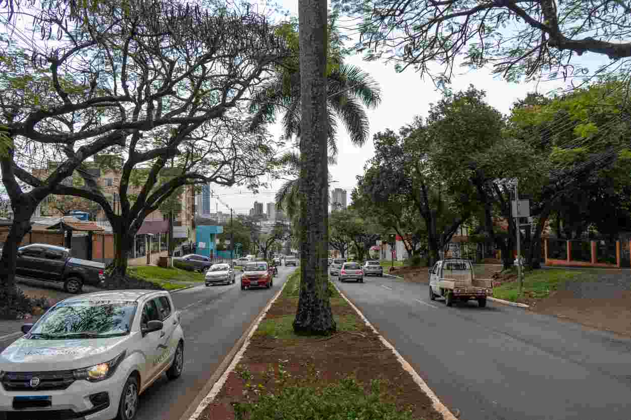 IPVA: deputados estaduais iniciam análise do projeto que reduz alíquota