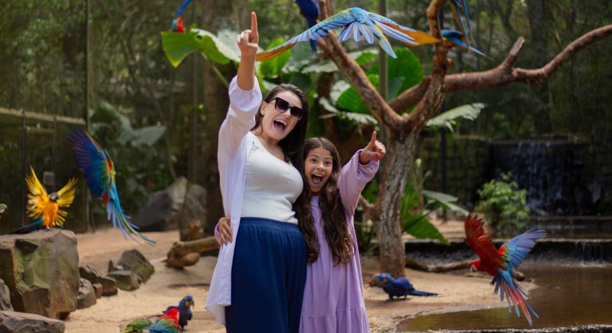Parque das Aves celebra 31 anos como referência em conservação de espécies da Mata Atlântica